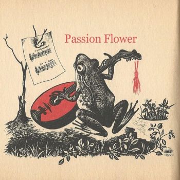 Time Toad - Passion Flower (2017) Album Info