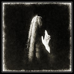 Curse upon a Prayer - The Three Woes (2018) Album Info